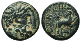 SYRIA. Seleucus and Pieria. Antioch. AE. ca. A.D. 11-17.
Laureate head of Zeus right. OBV: ΔM (= yr. 44 of Actian era = A.D. 13/14).
Ram leaping right...
