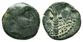 Seleukid Kingdom, 3rd - 1st. Century, B.C. AE

Condition: Very Fine

Weight: 1.55gr
Diameter: 12.7mm