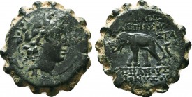 Seleukid Kingdom, 3rd - 1st. Century, B.C. AE

Condition: Very Fine

Weight: 8.29gr
Diameter: 23mm