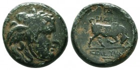Seleukid Kingdom, 3rd - 1st. Century, B.C. AE

Condition: Very Fine

Weight: 7.80gr
Diameter: 19mm