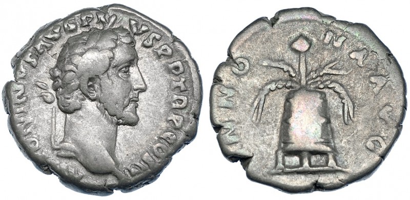 ANTONINO PÍO. Denario. Roma (140-143). R/ Modius con espigas; ANNONA AVG. RIC-62...