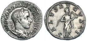 GORDIANO III. Denario. Roma (241). R/ Salus a der. alimentando serpiente entre sus brazos; SALVS AVGVSTI. RIC-129a. MBC.