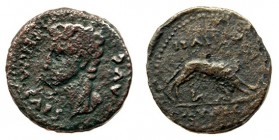 ITALICA. Semis. Augusto. A/ Cabeza a izq.; PERM CAES AVG. R/ Loba con los gemelos; ITALI(CA)/MVNIC. AE 4,91 g. RPC-62. APRH-62b, este ejemplar ilustra...