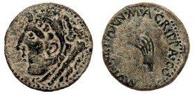 GADES. Dupondio. Augusto. A/ Cabeza de Melkart a izq. con leonté y clava. R/ Acrostolio; M. AGRIPPA. CO(S II) MVNICI PARN. AE 20,87 g. RPC-CSI-79/0-10...