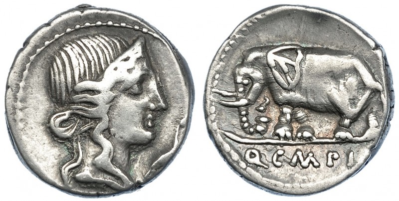 CAECILIA. Denario. N. de Italia (81 a.C.). A/ Pietas. R/ Elefante; Q.C.M.P.I. CR...