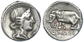 CAECILIA. Denario. N. de Italia (81 a.C.). A/ Pietas. R/ Elefante; Q.C.M.P.I. CRAW-374.1. FFC-213. MBC-/MBC.