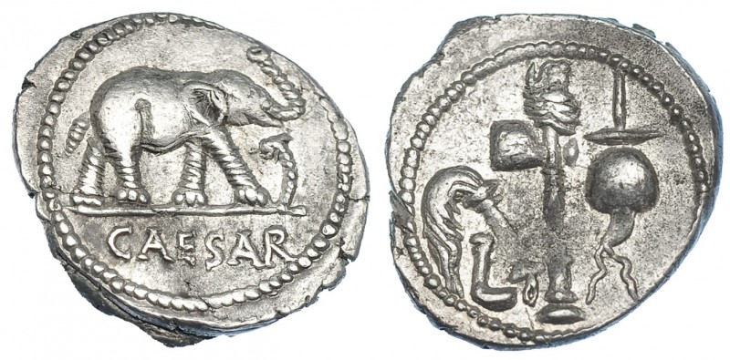 JULIO CÉSAR. Denario. Ceca móvil (49-48 a.C.). A/ Elefante pisando carnyx galo; ...