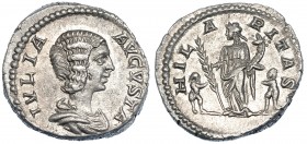 JULIA DOMNA. Denario. Roma (196-211). R/ Hilaritas a izq. con palma y cornucopia flanqueada por dos niños; HILARITAS. RIC-557. MBC+.