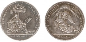 Historiepenningen - 1750 - Penning 'Op het nieuwe jaar' door J.G. Holtzhey (vvL292) - VZ Nederland onder oranjeboom met leeuw, olijftak en vrijheidsho...