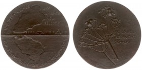 Historiepenningen - 1980 - Penning '125-jarig bestaan Haarlemmermeer' door Guus Hellegers - VZ Contour gemeente / KZ Karwijzaad met insecten - gepatin...