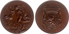 Universiteitspenningen - Utrecht 1896 - Penning 'Ridderhofspel te Utrecht bij het 52e Lustrum' door Begeer (Hofstee16, Zw.1221) - VZ Zwevende Mercuriu...