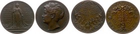 Wienecke-penningen - 1918 - Penning 'Anti-revolutionair protest' door J.C. Wienecke (KB.1302, JCW.160) - VZ Wilhelmina met scepter op podium / KZ Eed-...
