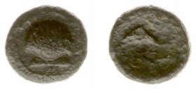 Italy - Calabria - Brundisium - AE21 (c. 215 BC, 1.46 g) - Cockle-shell / Dolphin and trident (SNG Copenhagen 752) - F+, RR