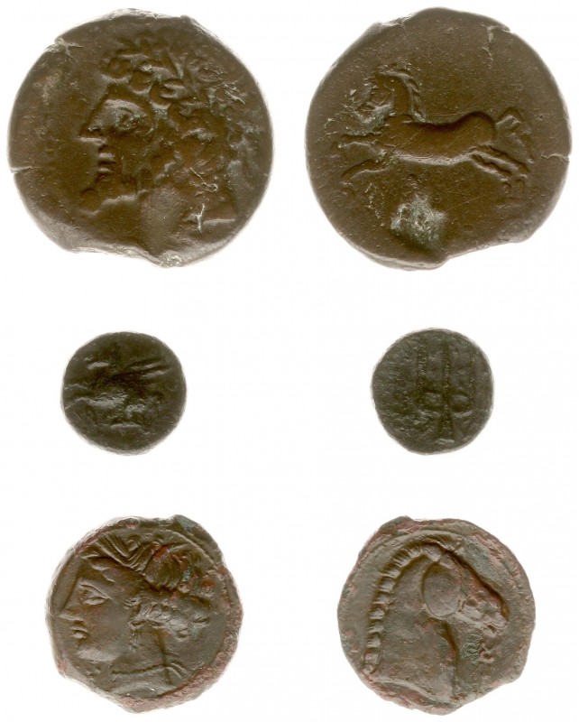 North Africa - Zeugitana - Carthage - AE20 (c. 300-264 BC, 4.38 g) - Head of Tan...