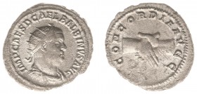 Balbinus (238) - AR Antoninianus (Rome, 3.98 g) - IMP CAES D CAEL BALBINVS AVG Radiate, draped and cuirassed bust right / CONCORDIA AVGG Clasped hands...