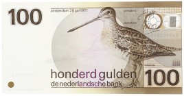 Netherlands - 100 Gulden 1977 Snip (Mev. 123-1 / AV 87.1a.1.1) - UNC