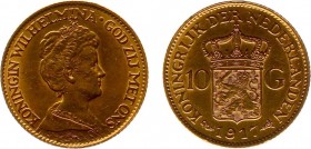 Netherlands - Gouden Tientjes 1875-1933 - 10 Gulden 1917 - Goud - ZF, gepoetst