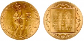 Netherlands - Gouden Dukaten - Gouden Dukaat 1925 - UNC-