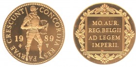 Netherlands - Gouden Dukaten - Gouden Dukaat 1989 - Proof