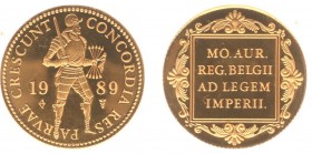 Netherlands - Gouden Dukaten - Gouden Dukaat 1989 - Proof