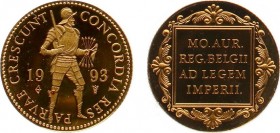 Netherlands - Gouden Dukaten - Gouden Dukaat 1993 - Proof