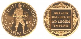 Netherlands - Gouden Dukaten - Gouden Dukaat 1996 - Proof