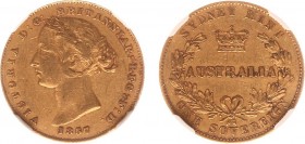 Australia - Victoria (1837-1901) - Sovereign 1857 (KM4, Fr.10) - Obv: Laureate head left / Rev: Crown above Australia within wreath - Gold - NGC XF45