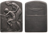 Belgium - Medals & Tokens - 1908 - Plaque 'L'Enseignement - Het Onderricht' by P. Wissaert for the Société Hollandaise-Belge - Obv. Woman teaching chi...