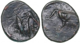 Bosporus Kingdom, Pantikapaion. Æ chalkon Ca. 150-140 B.C.
1.61 g. 13mm. XF/XF Perisad IV., 150-140 BC. Bull's head 3/4 to the right, counterstamped ...