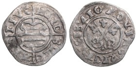 Riga schilling 1541 (410)
0,95 g. VF/VF The Livonian order. Hermann Brüggenei-Hasenkamp., 1535-1549. Haljak# 308.