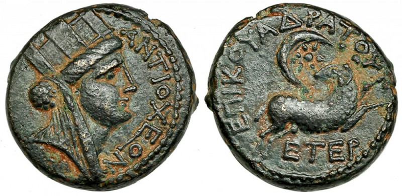 SIRIA. Seleucis y Pieria. Atioquía en Oronten. Nerón. AE 18 (54-68 d.C.). A/ Cab...