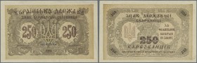 Ukraina / Ukraine
250 Karbovantsiv 1918 with small letters, P.39b in excellent condition with a very soft vertical fold at center, tiny spots and sma...