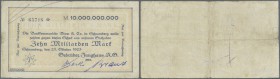 Deutschland - Notgeld - Württemberg
Schramberg, Gebrüder Junghans AG, 10 Mrd. Mark, 25.10.1923, Druck ”Gustav Maier Schramberg”, dito, 2.11.1923, Rei...