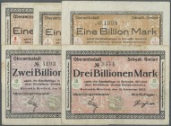 Deutschland - Notgeld - Württemberg
Schwäbisch Gmünd, Oberamtsstadt, 100 Tsd. (3), 500 Tsd. (4) Mark, Varianten der Zierstücke, 1, 5, 10, 20, 50 Mio....
