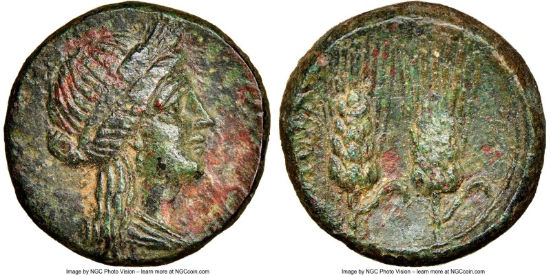 LUCANIA. Metapontum. Ca. 300-250 BC. AE (16mm, 4.11 gm, 12h). NGC AU 5/5 - 3/5, ...
