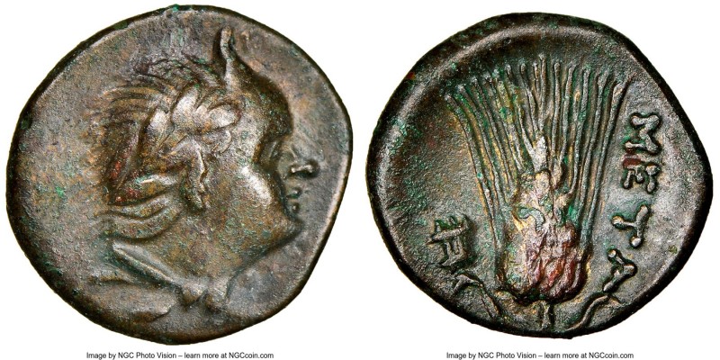 LUCANIA. Metapontum. Ca. 300-250 BC. AE (13mm, 1.27 gm, 6h). NGC Choice XF 5/5 -...