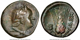 LUCANIA. Metapontum. Ca. 300-250 BC. AE (13mm, 1.27 gm, 6h). NGC Choice XF 5/5 - 5/5. Laureate head of Pan right / META, barley ear with seven kernels...