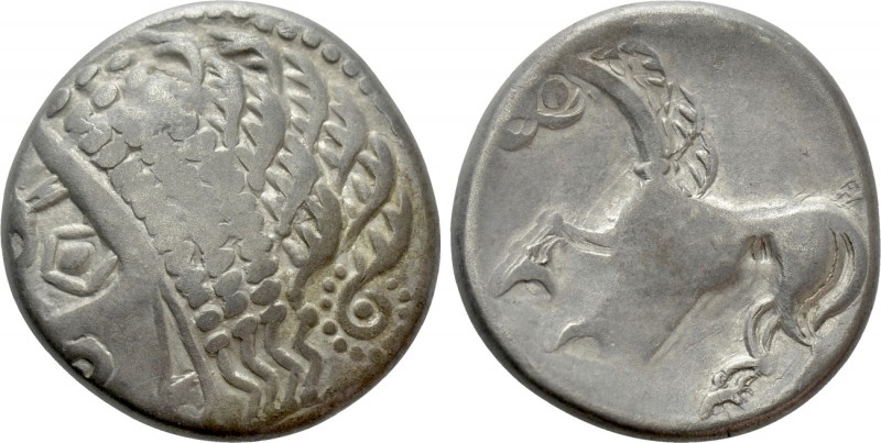EASTERN EUROPE. Ae Tetradrachm (3rd-2nd centuries BC). "Gjurgjevac" Type. 

Ob...