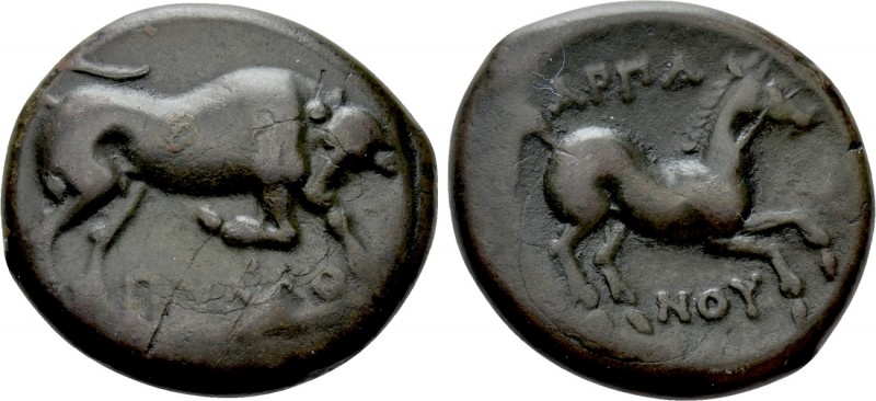 APULIA. Arpi. Ae (Circa 275-250 BC). 

Obv: ΠΥΛΛΟ. 
Bull butting right.
Rev:...