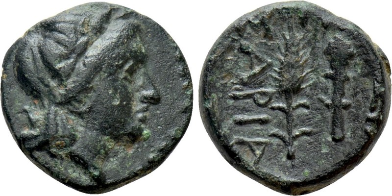 KINGS OF SKYTHIA. Sariakes (Circa 179-150 BC). Ae. 

Obv: Laureate head of Apo...