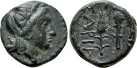 KINGS OF SKYTHIA. Sariakes (Circa 179-150 BC). Ae. 

Obv: Laureate head of Apollo right.
Rev: BAΣI / ΣAPIA. 
Grain ear and club.

Draganov 70; H...