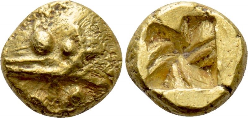MYSIA. Kyzikos. EL 1/24 Stater (Circa 600-550 BC). 

Obv: Head of tunny left; ...