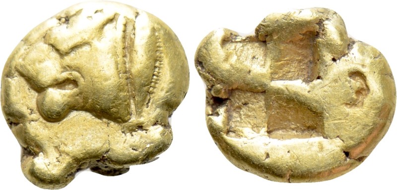 MYSIA. Kyzikos. EL 1/12 or Hemihekte (Circa 550-500 BC). 

Obv: Head of lion l...