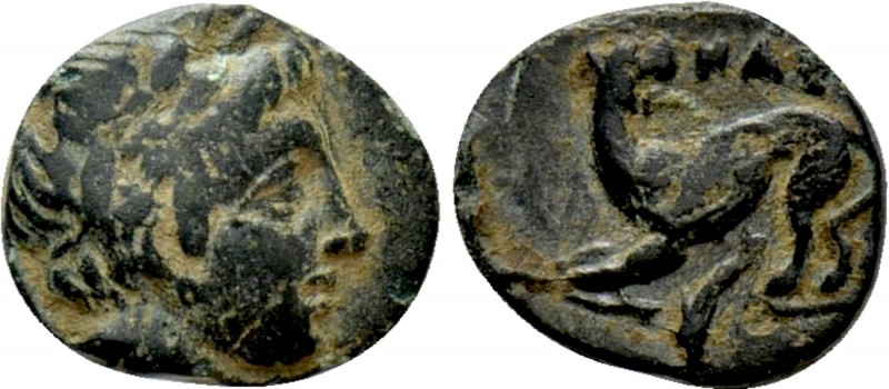 LESBOS. Nesos/Nasos Pordosilene. Ae (3rd-2nd centuries BC). In the name of the N...