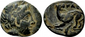 LESBOS. Nesos/Nasos Pordosilene. Ae (3rd-2nd centuries BC). In the name of the Nasiotes. 

Obv: Laureate head of Apollo right.
Rev: ΝΑΣΙ. 
Panther...