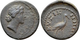 MYSIA. Cyzicus. Pseudo-autonomous Time of Commodus (186-192). Ae. 

Obv: Head of Kore right.
Rev: KVZIKHNΩN. 
Stork standing right.

RPC 11246 (...