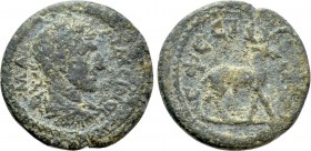 IONIA. Ephesos. Maximinus Thrax (235-238). Ae. 

Obv: MAΞIMЄINOC. 
Laureate, draped and cuirassed bust right.
Rev: EΦECIΩN. 
Stag standing right....