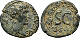 SELEUCIS & PIERIA. Antioch. Augustus (27 BC-14 AD). Ae. 

Obv: IMP AVGVST TR POT. 
Laureate head of Augustus right.
Rev: Large S C within wreath....