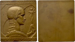 ÖSTERREICH. Städtemedaillen. Wien. Auf das 50jährige Jubiläum der Genossenschaft der bildenden Künstler Wiens. Bronzeplakette (1911.) von A. Hartig. ...