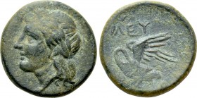 IONIA. Leukai. Ae (Circa 350-300 BC). 

Obv: Laureate head of Apollo left.
Rev: ΛEY. 
Swan with open wings left, preening its breast.

SNG Copen...